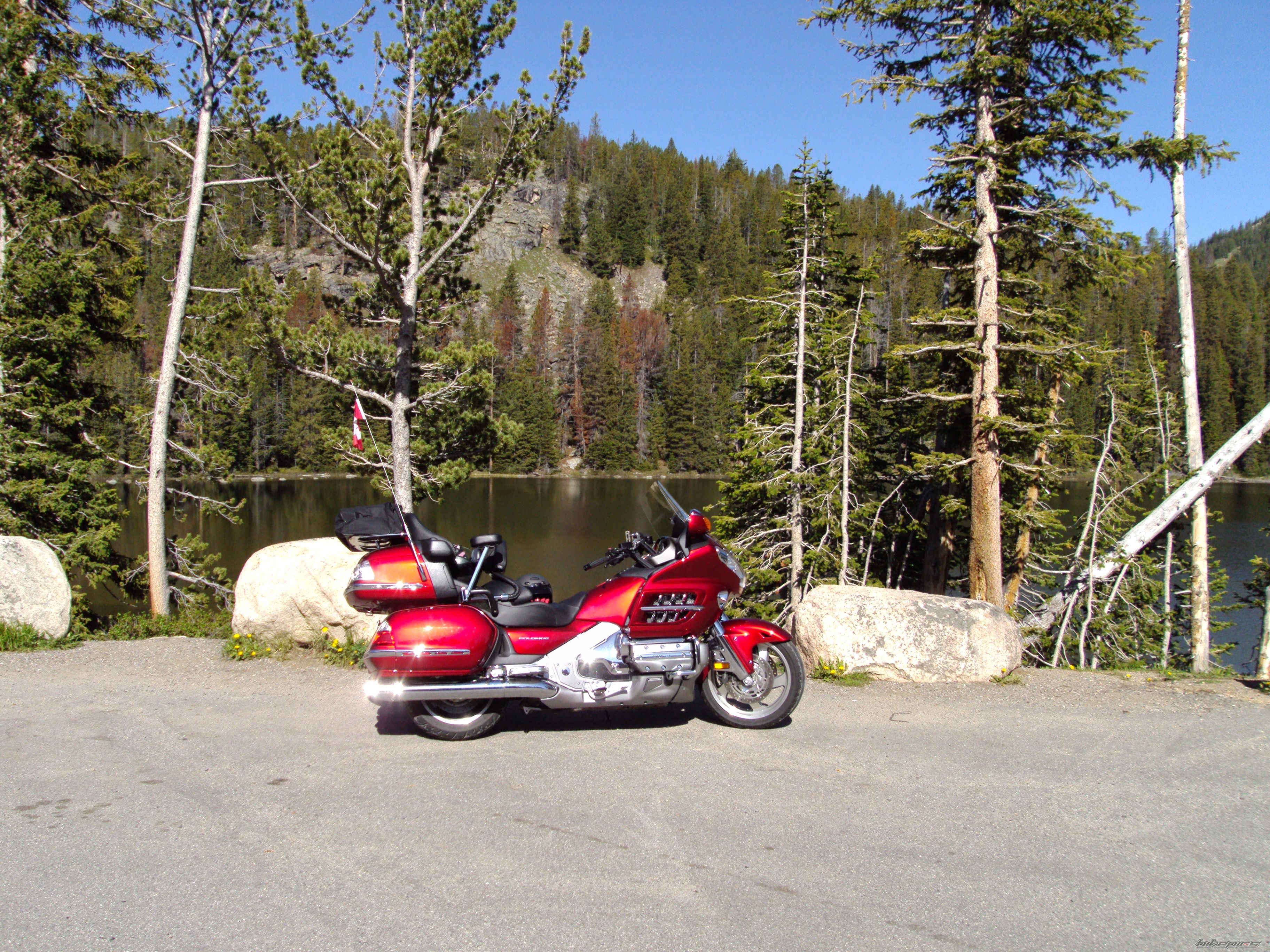 2008 HONDA GOLDWING | Picture 1929305 motorcycle photo
