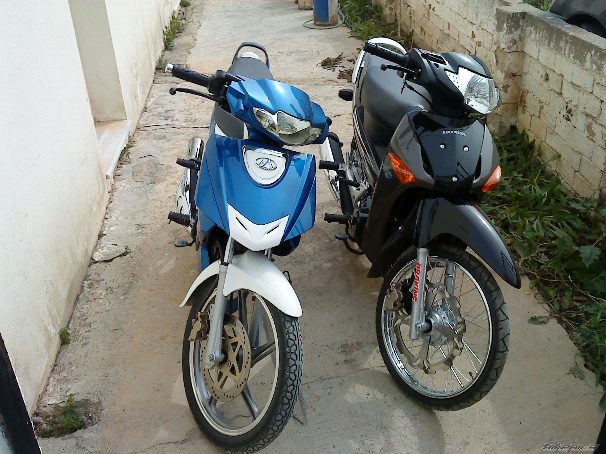 2010 MODENAS DYNAMIC 125 | Picture 1929874 motorcycle photo
