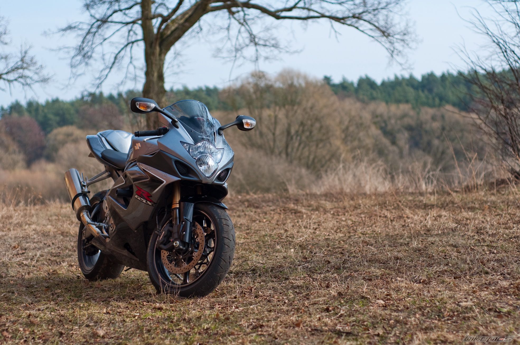 2006 SUZUKI GSX R 1000 | Picture 1930328 motorcycle photo