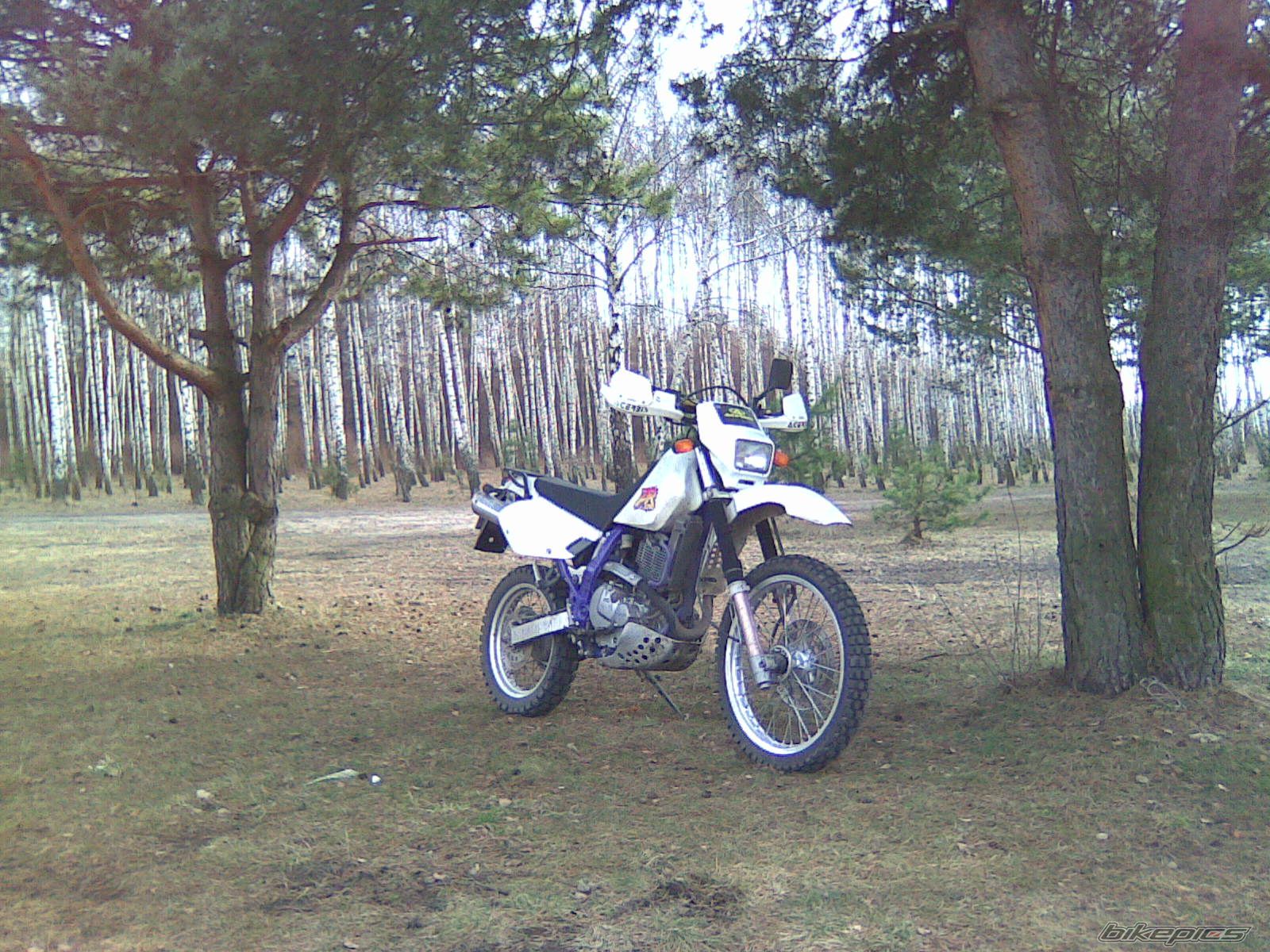 1996 SUZUKI DR 650 | Picture 1930496 motorcycle photo