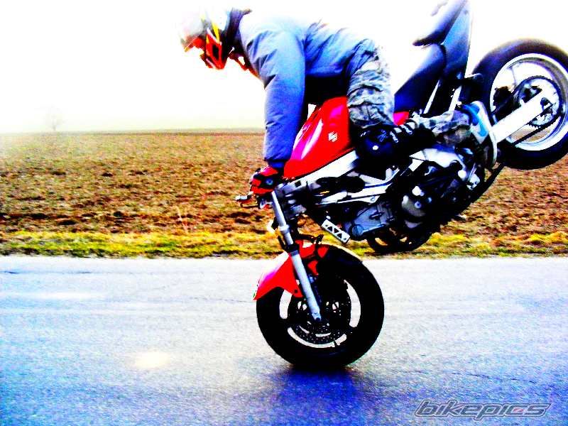 2004 SUZUKI SV 650S | Picture 1931175 motorcycle photo