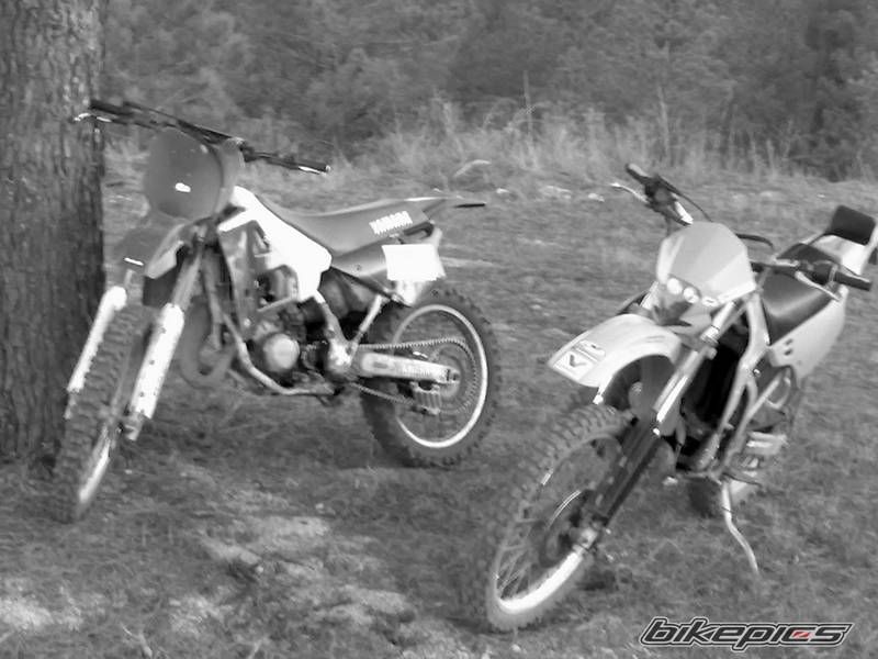 1993 KAWASAKI KDX 125 | Picture 1932015 motorcycle photo