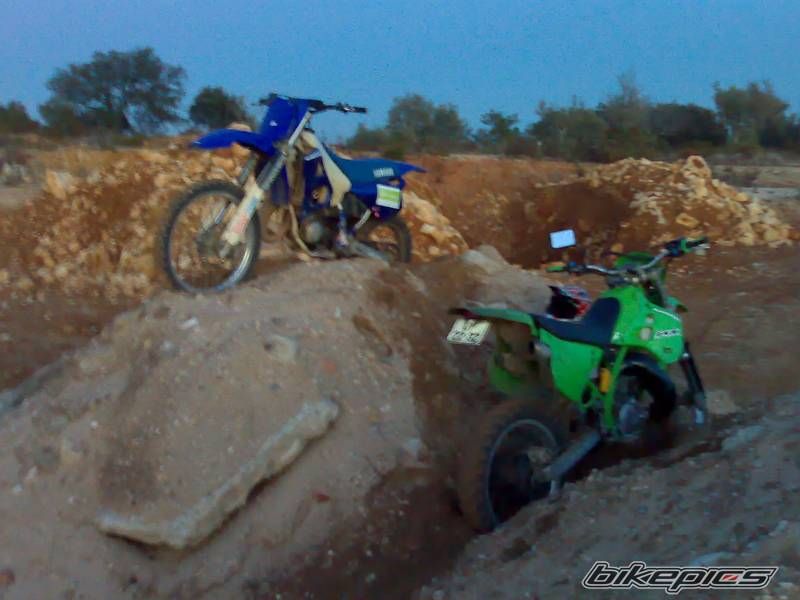 1993 KAWASAKI KDX 125 | Picture 1932017 motorcycle photo