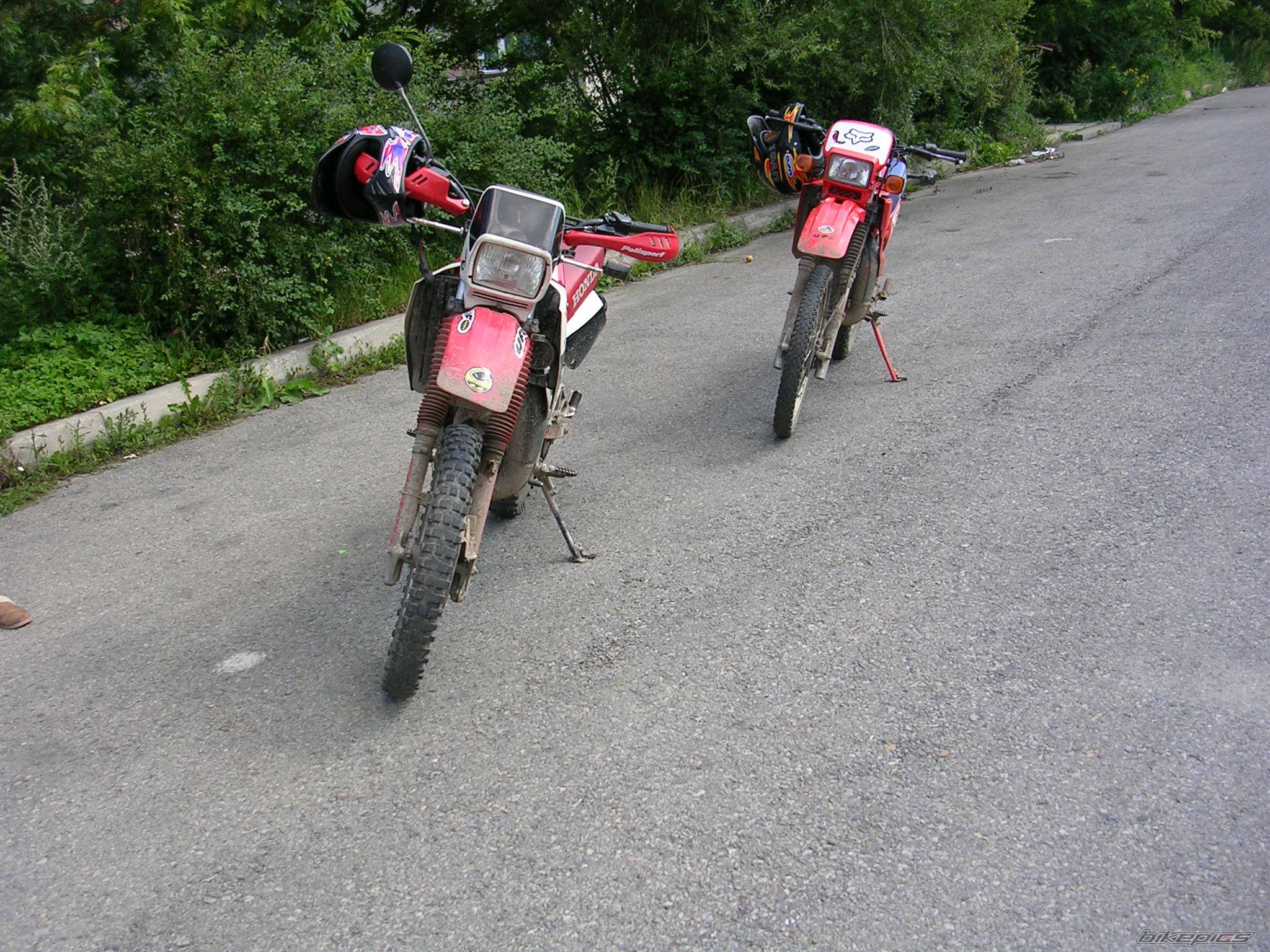 1983 HONDA MTX 125 | Picture 193428 motorcycle photo