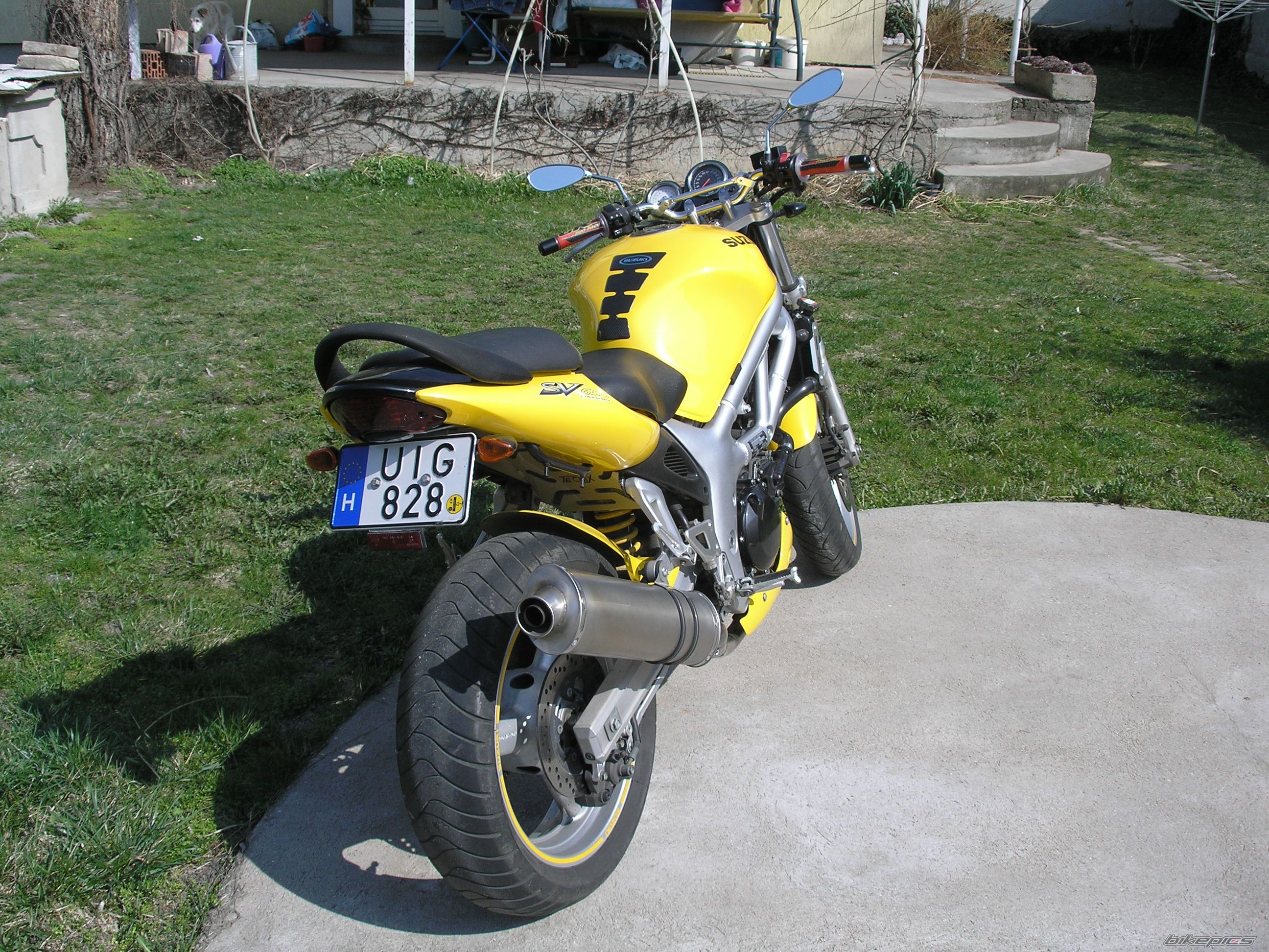 2002 SUZUKI SV 650 | Picture 1934828 motorcycle photo