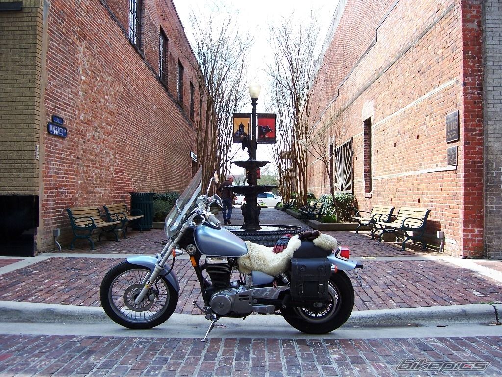 2006 SUZUKI SAVAGE | Picture 1935521 motorcycle photo