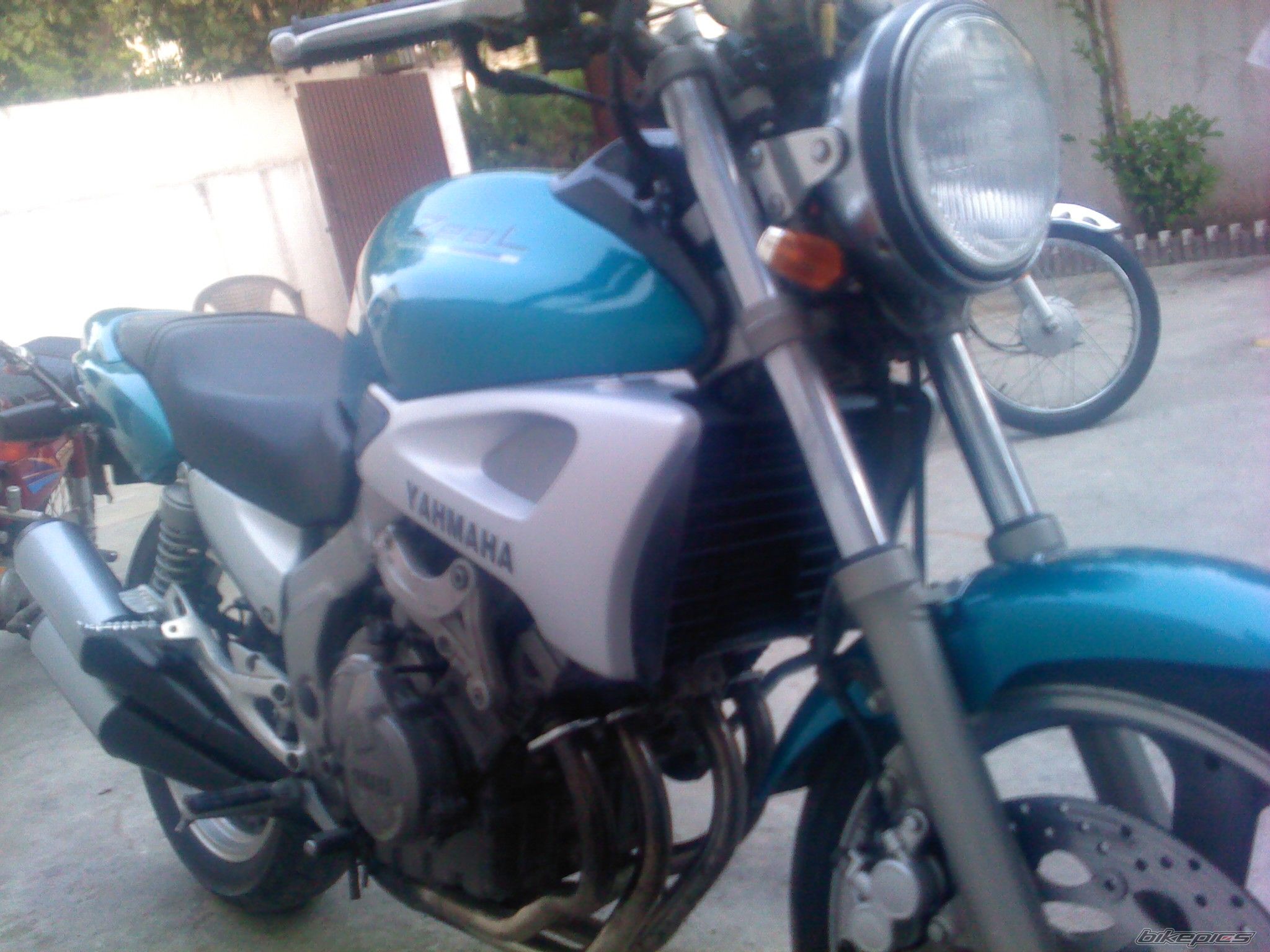 1999 YAMAHA FZX 250 | Picture 1936125 motorcycle photo