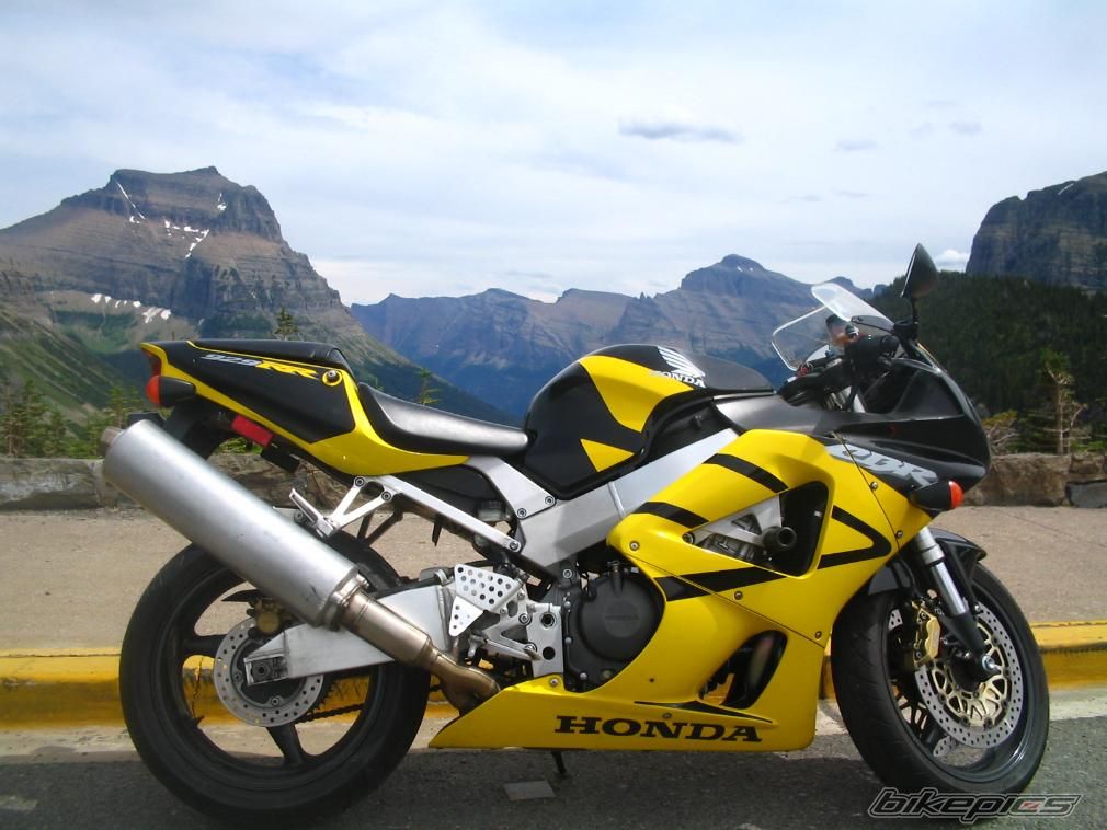 2001 HONDA CBR 900 | Picture 1936407 motorcycle photo