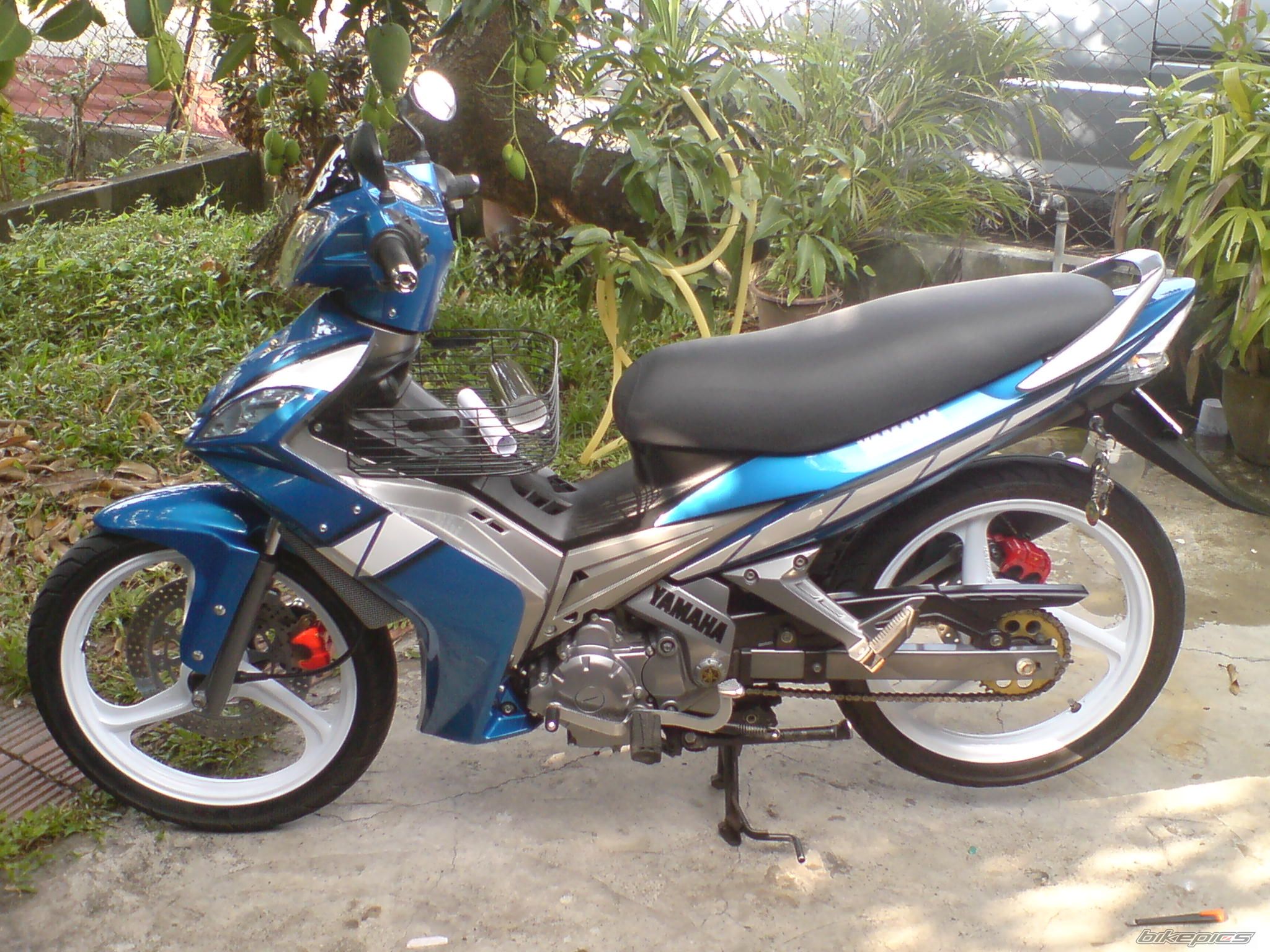 2010 YAMAHA 135 LC | Picture 1936419 motorcycle photo