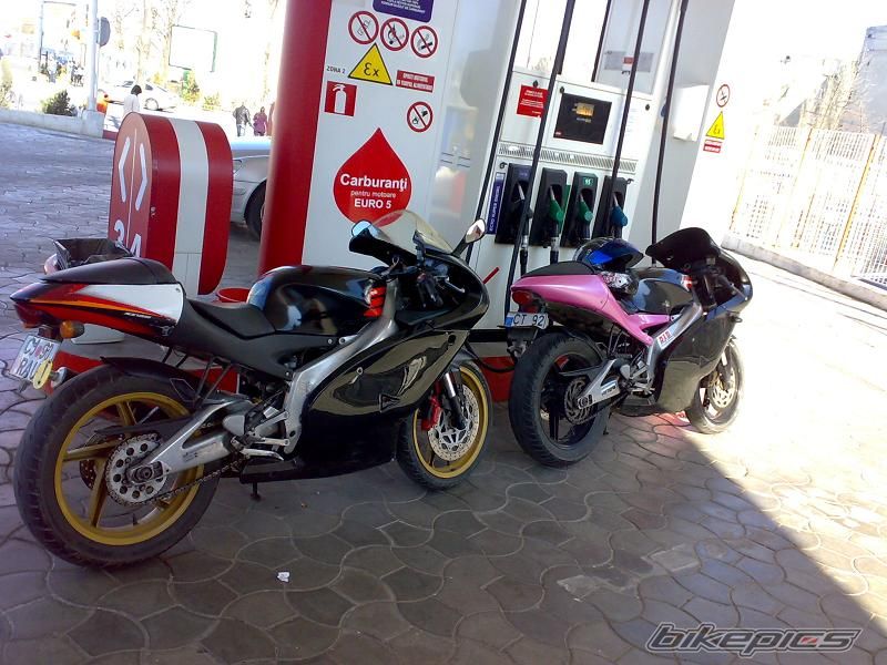 2005 APRILIA RS 125 | Picture 1936854 motorcycle photo