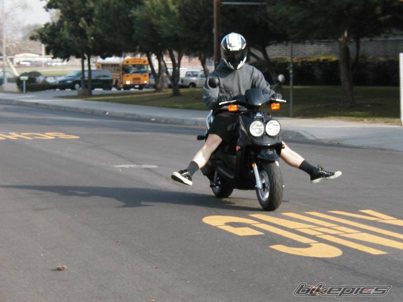 2002 YAMAHA ZUMA II | Picture 19369 motorcycle photo
