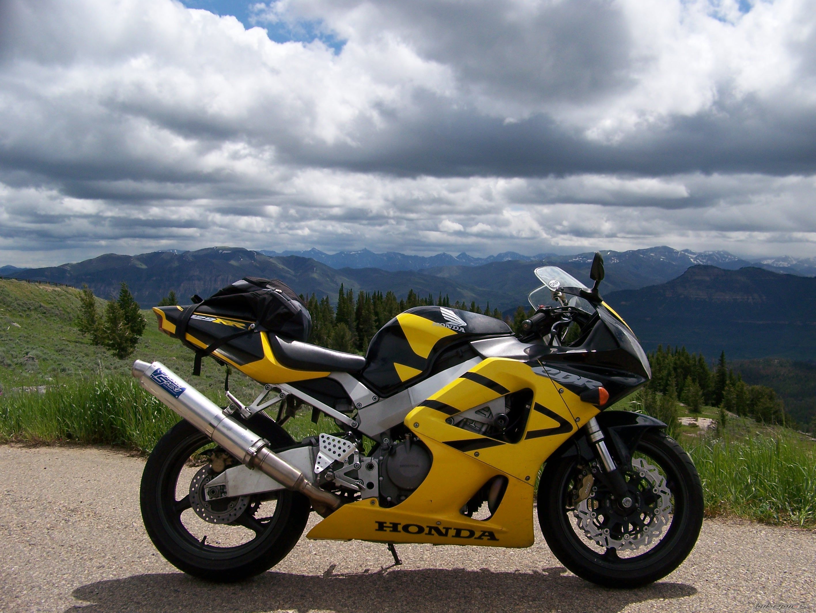 2001 HONDA CBR 900 | Picture 1939600 motorcycle photo