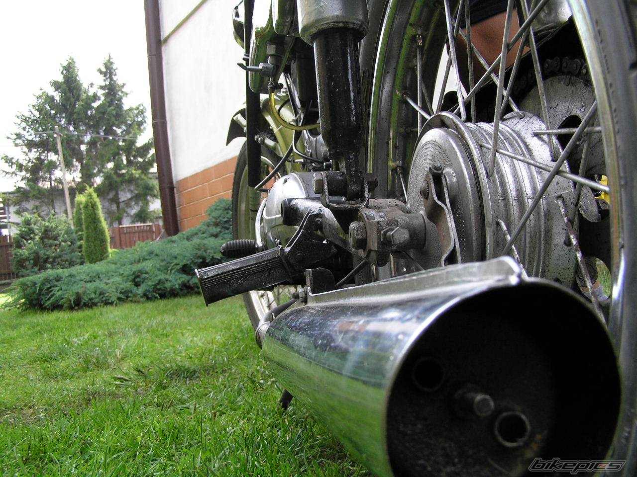1979 JAWA MUSTANG 50 | Picture 194004 motorcycle photo