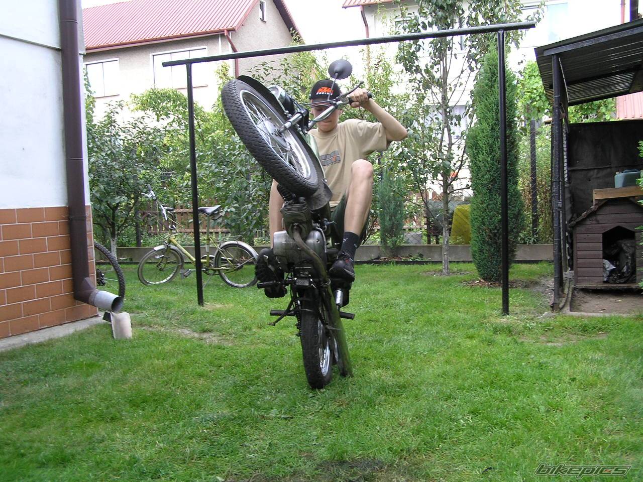 1979 JAWA MUSTANG 50 | Picture 194006 motorcycle photo