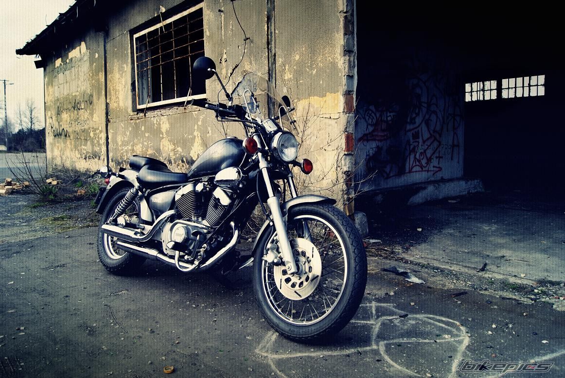 1994 YAMAHA VIRAGO 250 | Picture 1940100 motorcycle photo