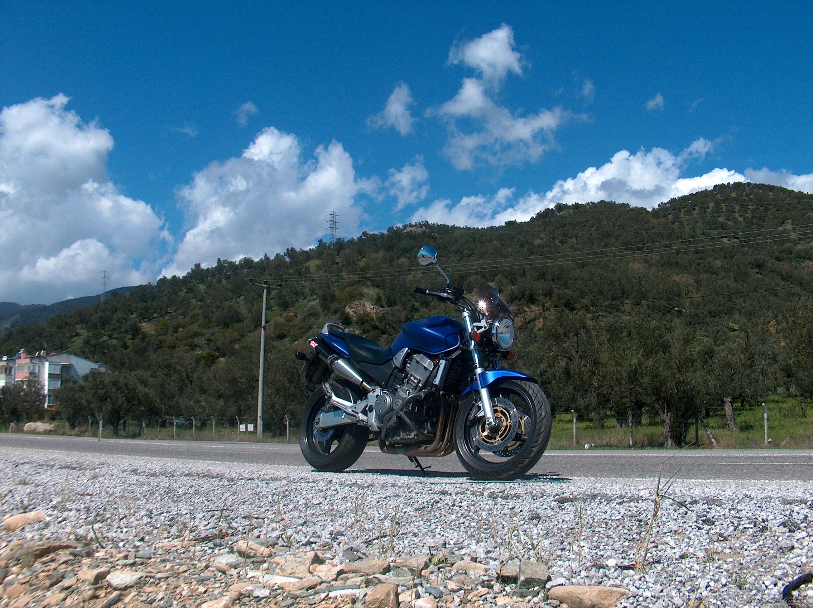 2004 HONDA CB 900 | Picture 1940144 motorcycle photo