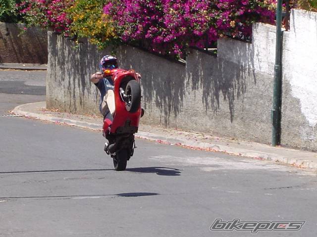 1998 PIAGGIO NTT 50 | Picture 194040 motorcycle photo