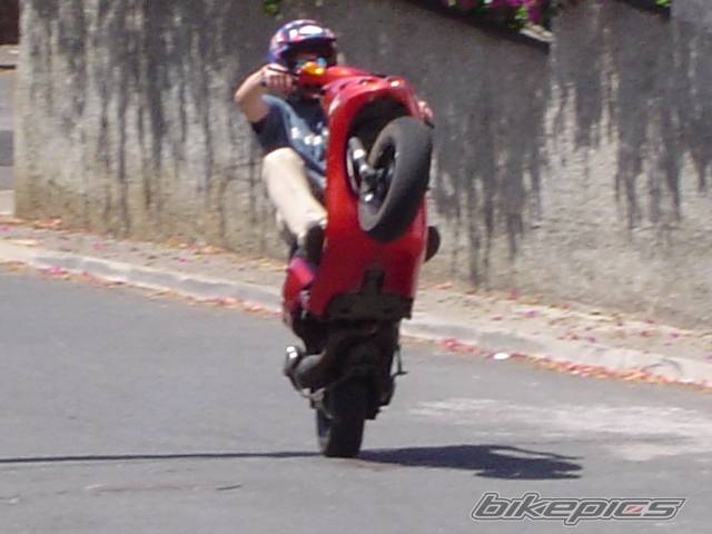 1998 PIAGGIO NTT 50 | Picture 194042 motorcycle photo