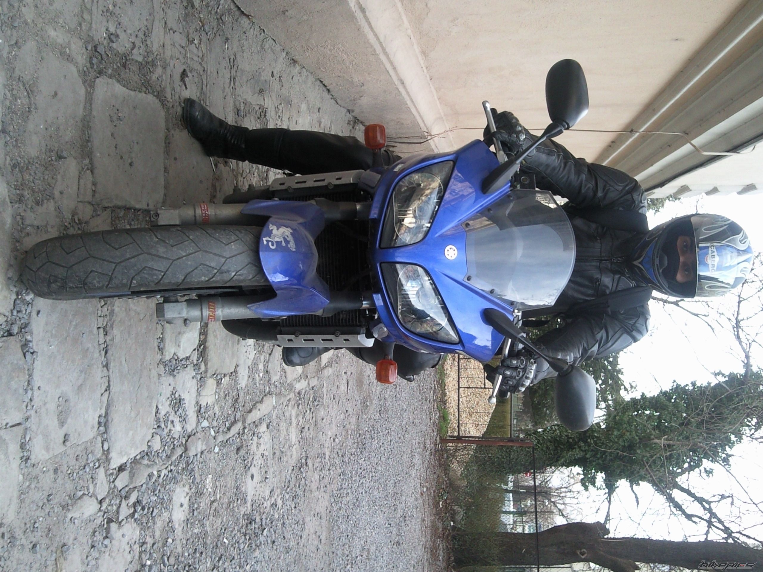 2001 YAMAHA FZS 1000 FAZER | Picture 1941779 motorcycle photo