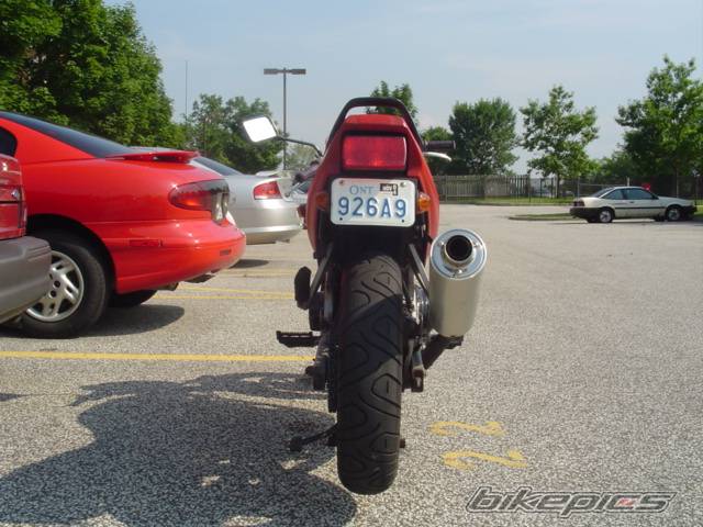 1992 SUZUKI GS 500 | Picture 194201 motorcycle photo