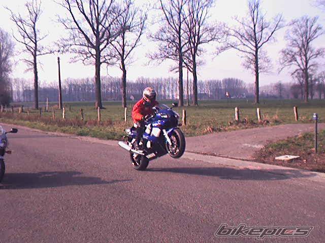 2001 YAMAHA YZF R6 | Picture 19423 motorcycle photo
