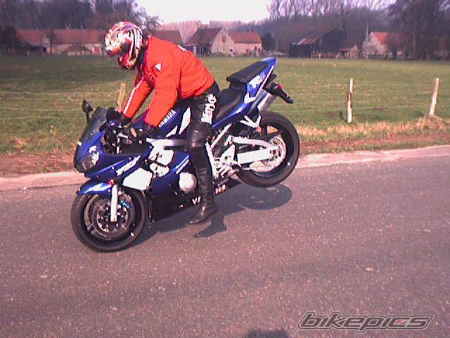 2001 YAMAHA YZF R6 | Picture 19424 motorcycle photo