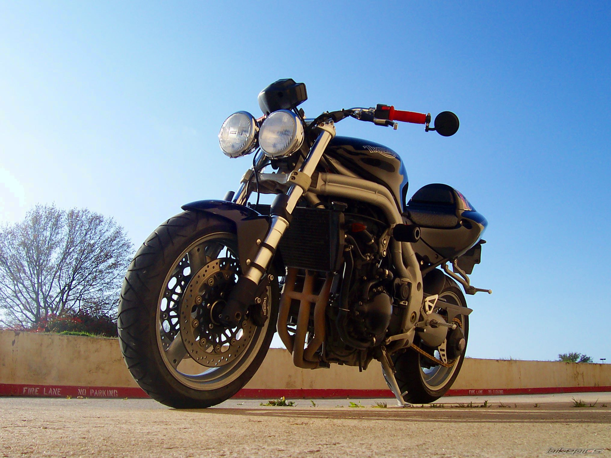 2002 TRIUMPH SPEED TRIPLE | Picture 1942734 motorcycle photo