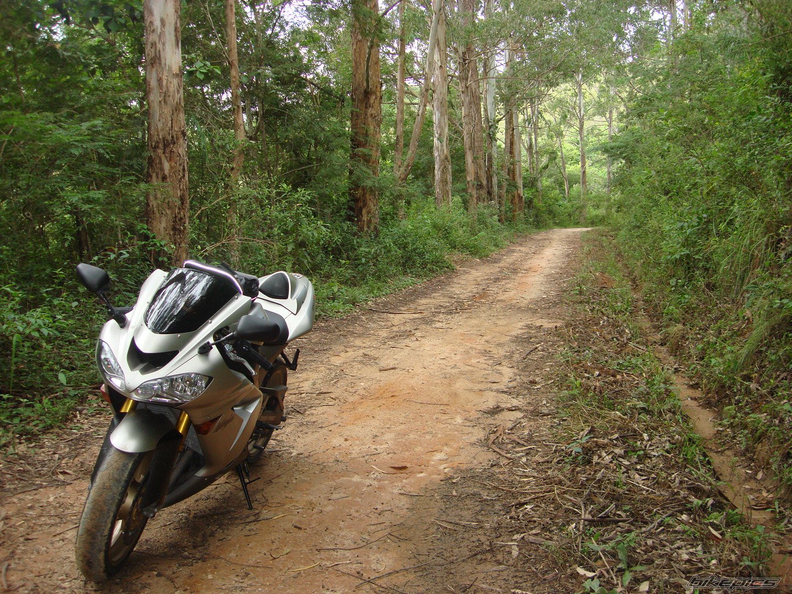 2005 KAWASAKI ZX 10R | Picture 1943398 motorcycle photo