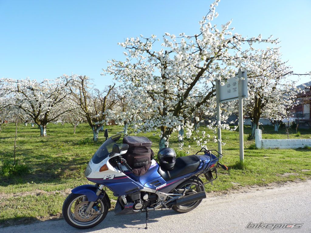 1992 YAMAHA FJ 1200 | Picture 1943400 motorcycle photo