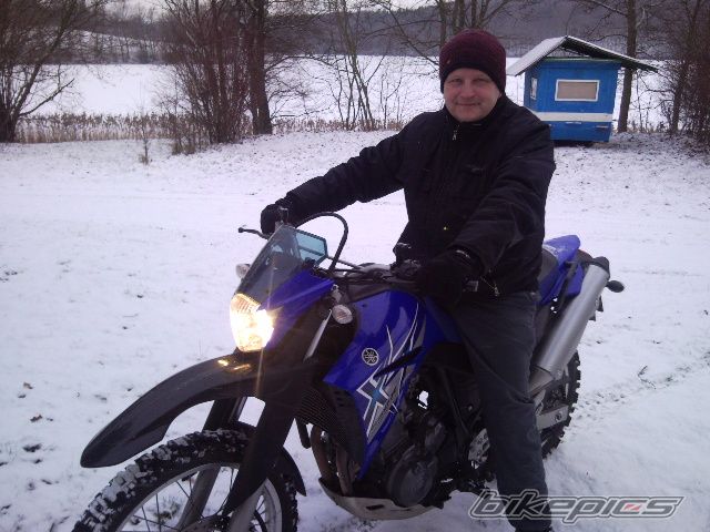 2008 YAMAHA XT 660 | Picture 1943419 motorcycle photo
