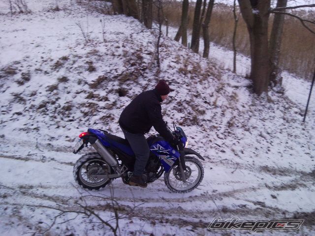 2008 YAMAHA XT 660 | Picture 1943424 motorcycle photo