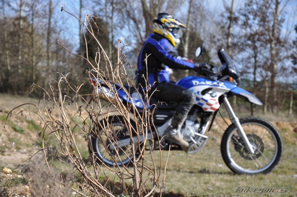 2003 BMW F 650 GS DAKAR | Picture 1943425 motorcycle photo