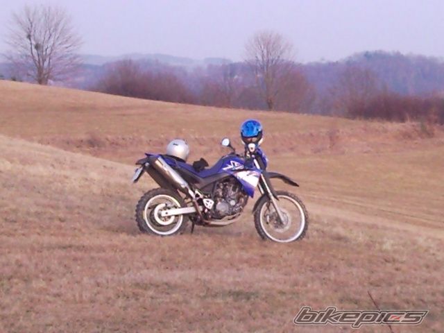 2008 YAMAHA XT 660 | Picture 1943430 motorcycle photo