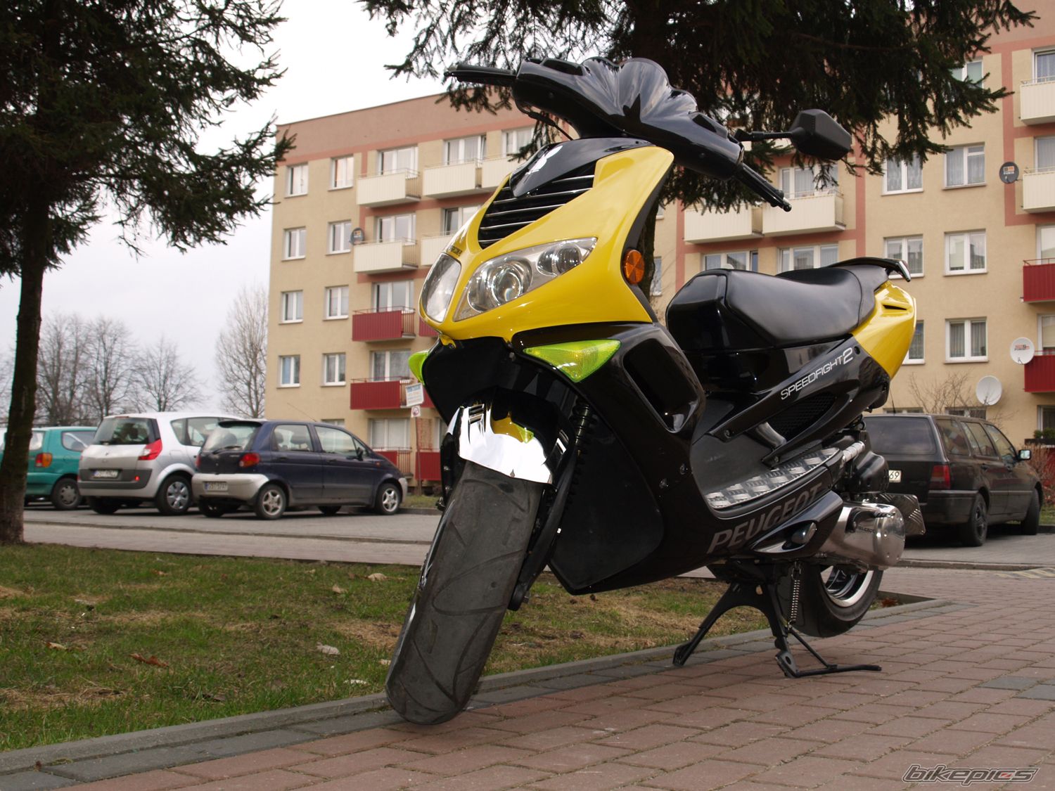 2008 PEUGEOT SPEEDFIGHT2 50 | Picture 1943755 motorcycle photo