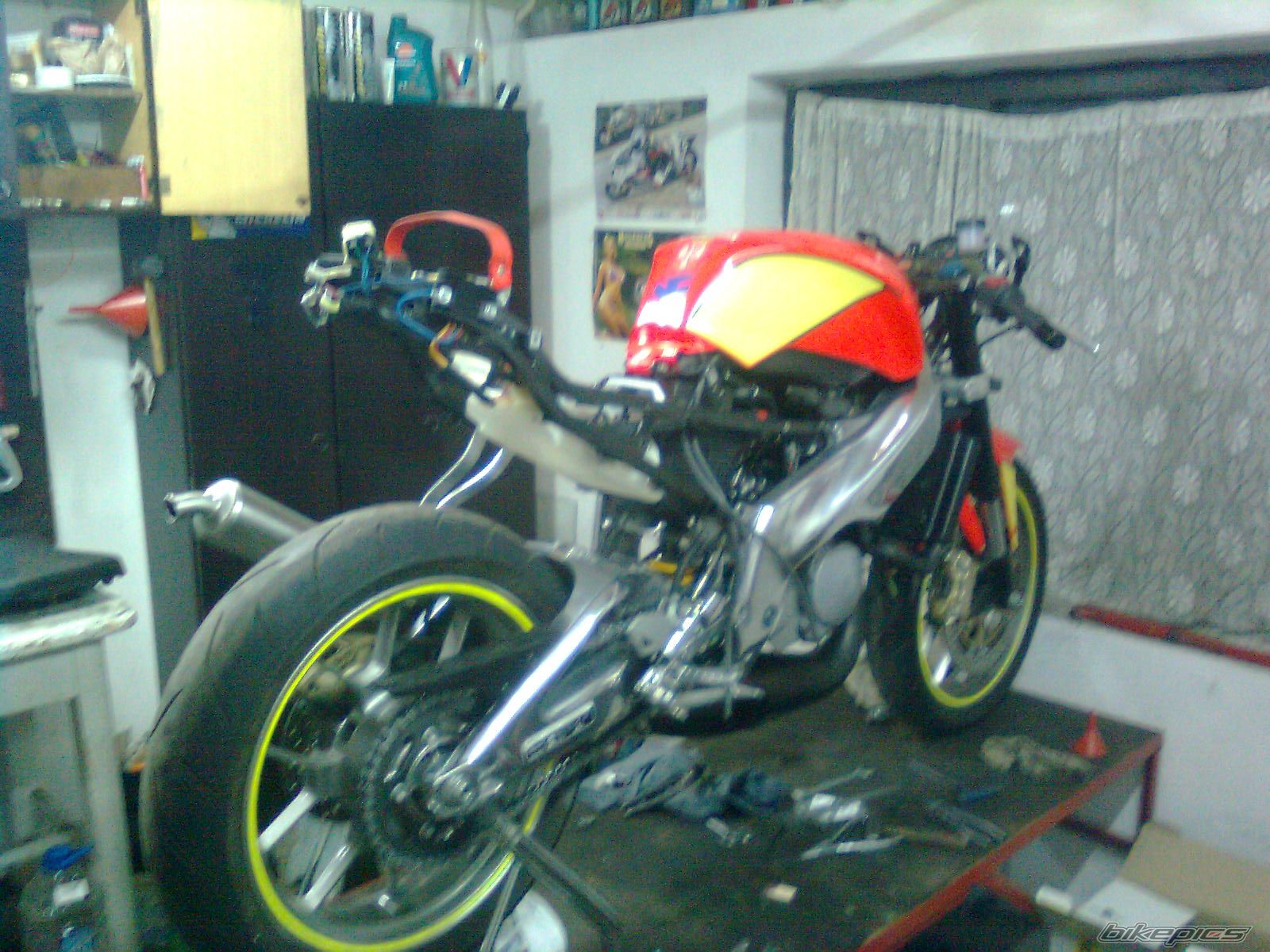 2008 APRILIA RS 125 | Picture 1944391 motorcycle photo