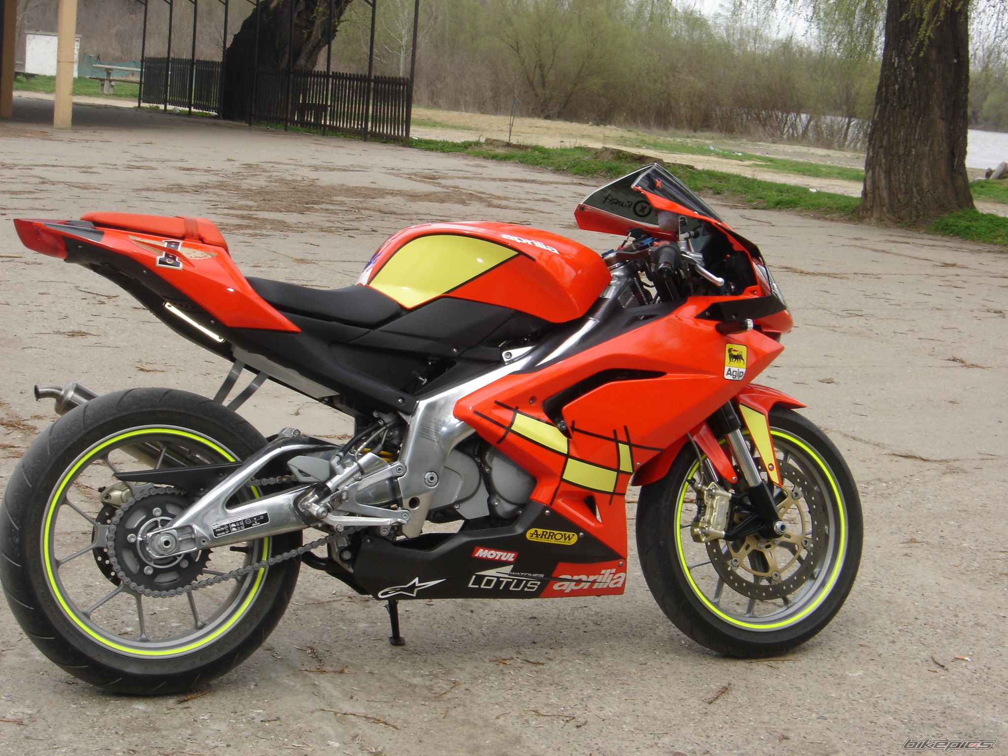 2008 APRILIA RS 125 | Picture 1944397 motorcycle photo