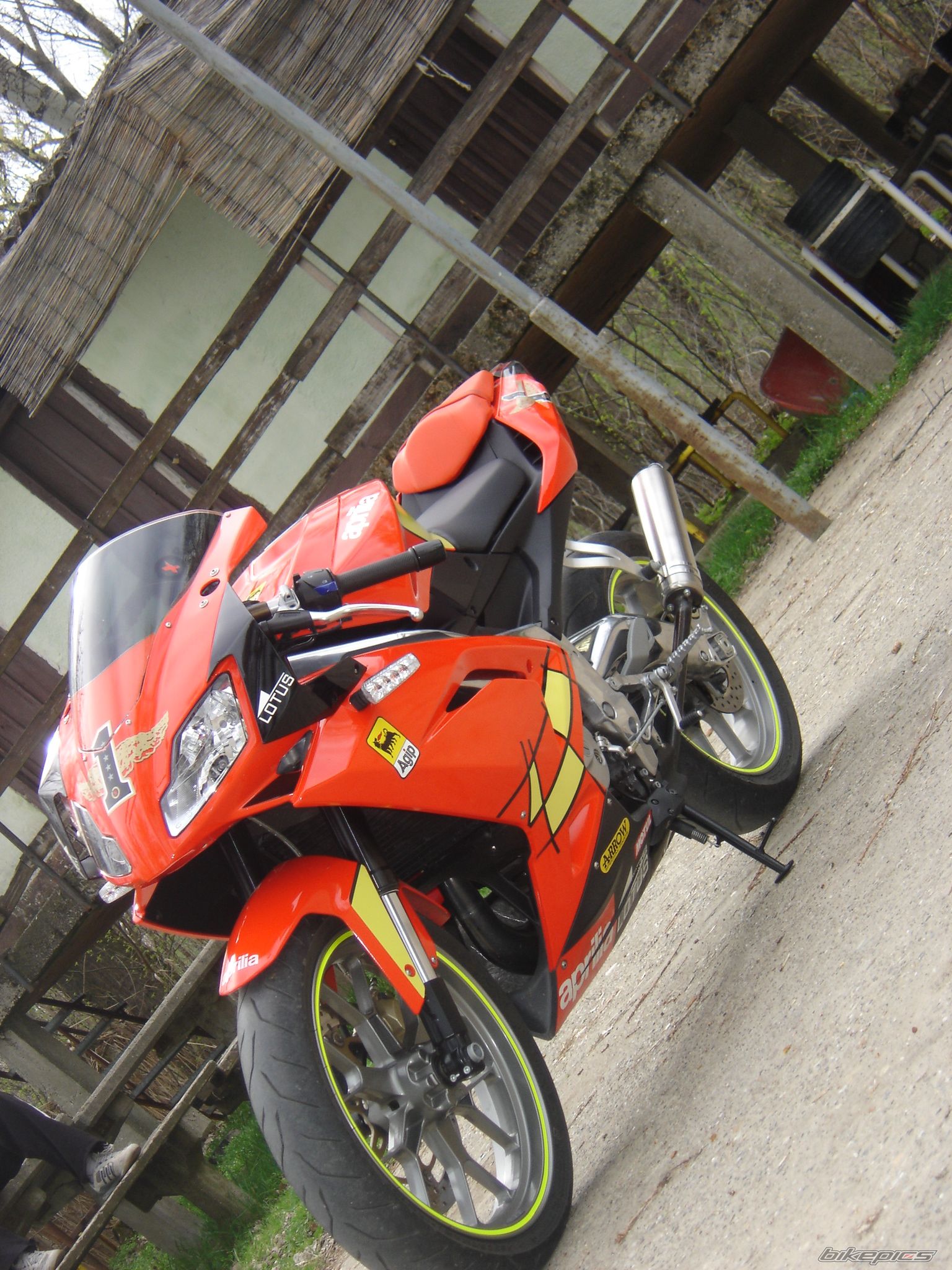 2008 APRILIA RS 125 | Picture 1944400 motorcycle photo