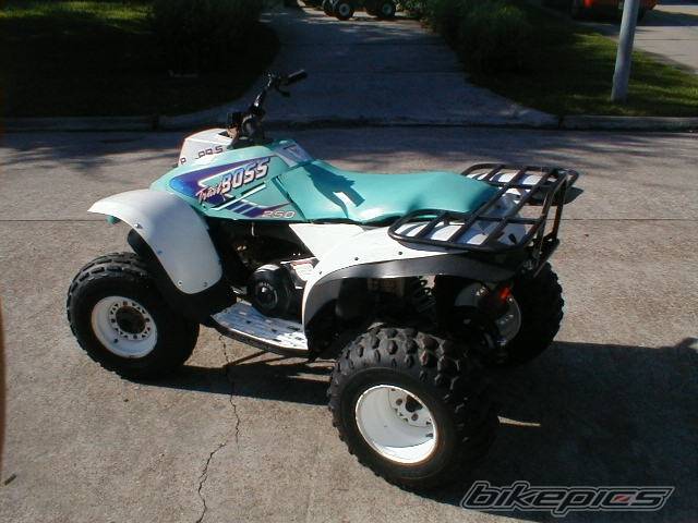 1996 POLARIS TRAIL BLAZER 250 | Picture 194443 motorcycle photo