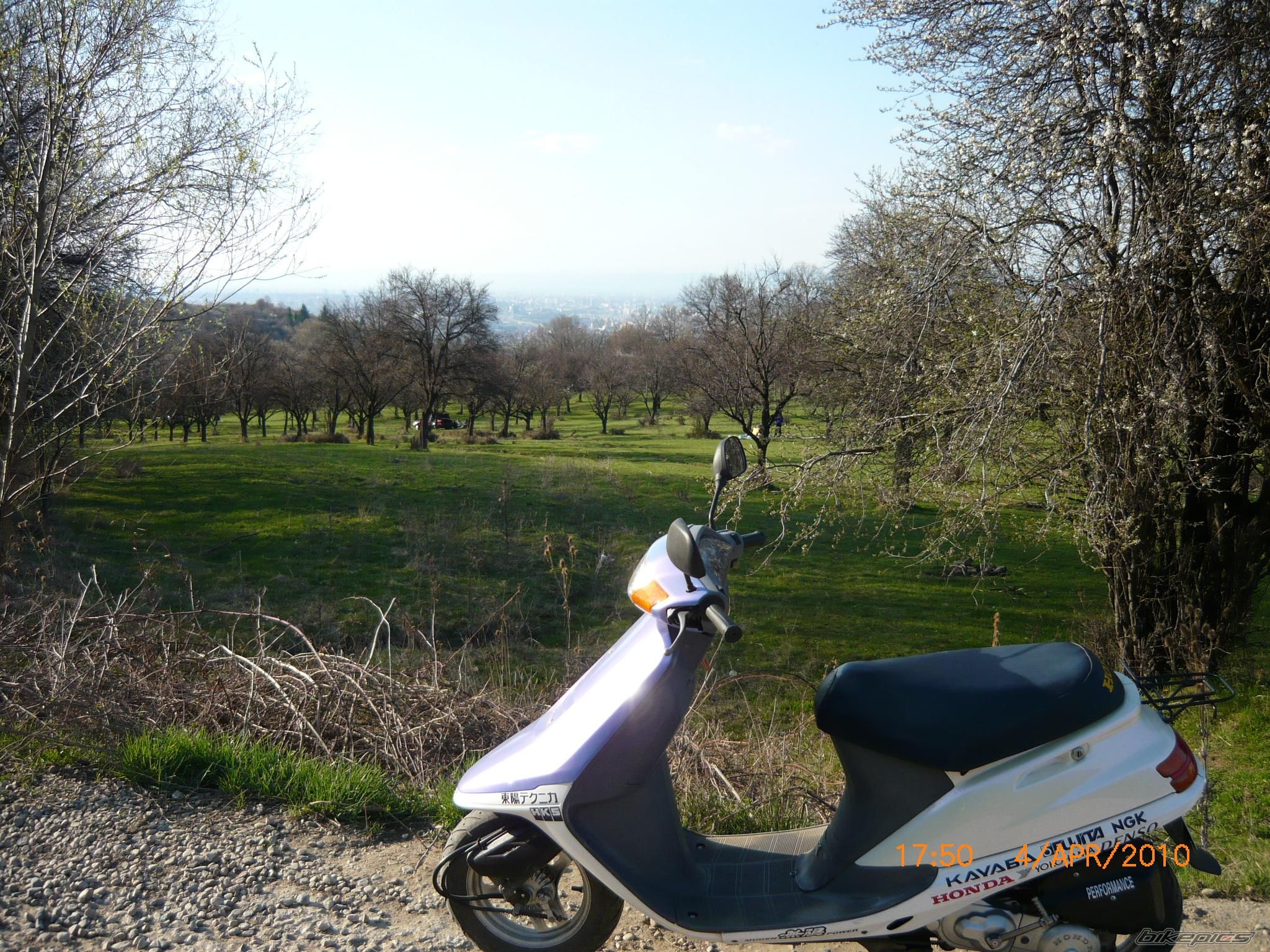 1995 HONDA AF 27 | Picture 1944454 motorcycle photo