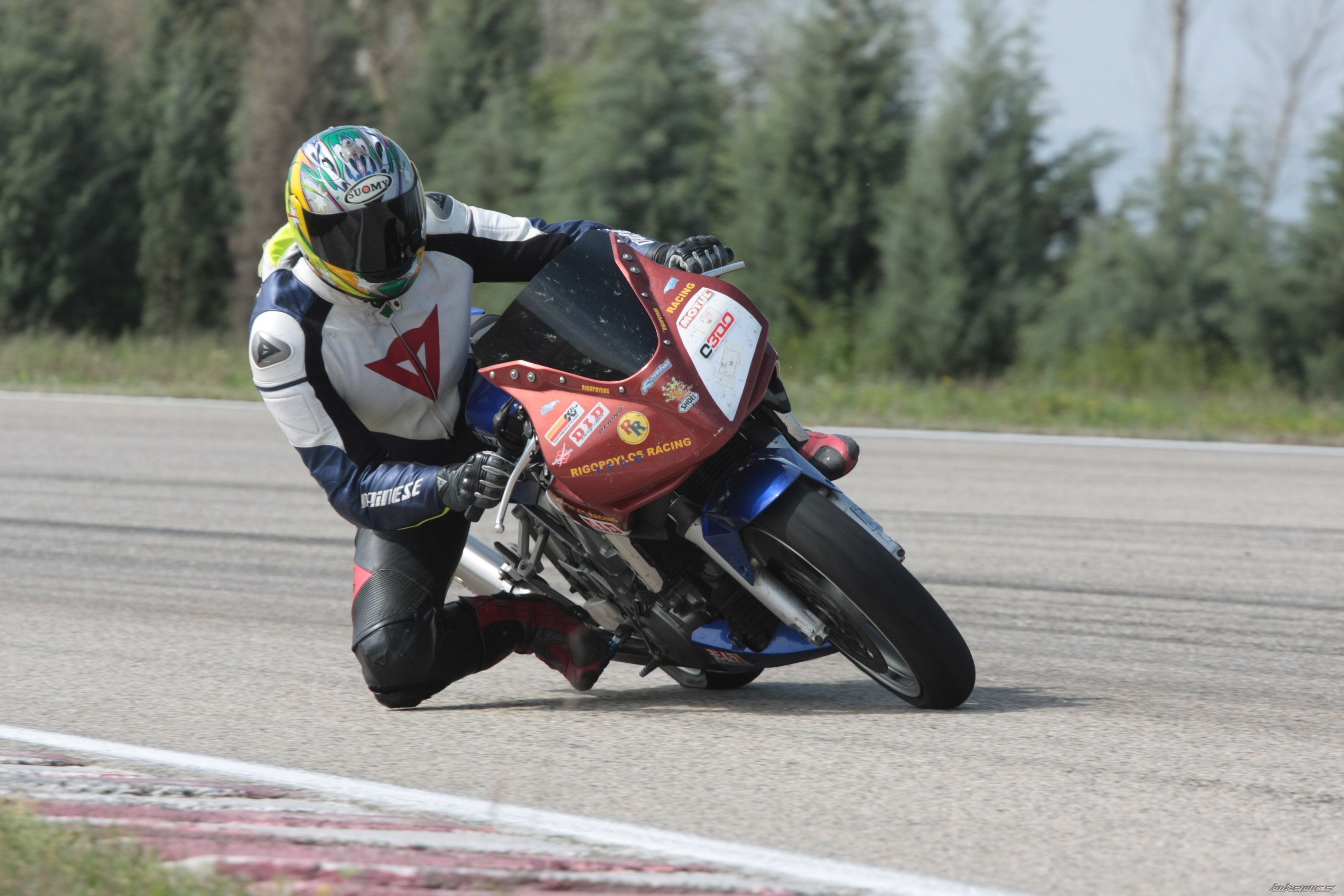 2003 SUZUKI SV 1000 S | Picture 1944730 motorcycle photo
