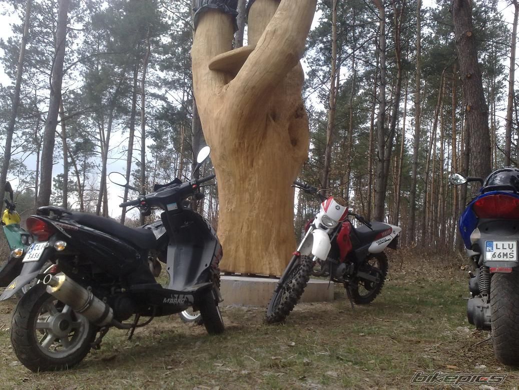 2000 YAMAHA DT 50 | Picture 1944931 motorcycle photo