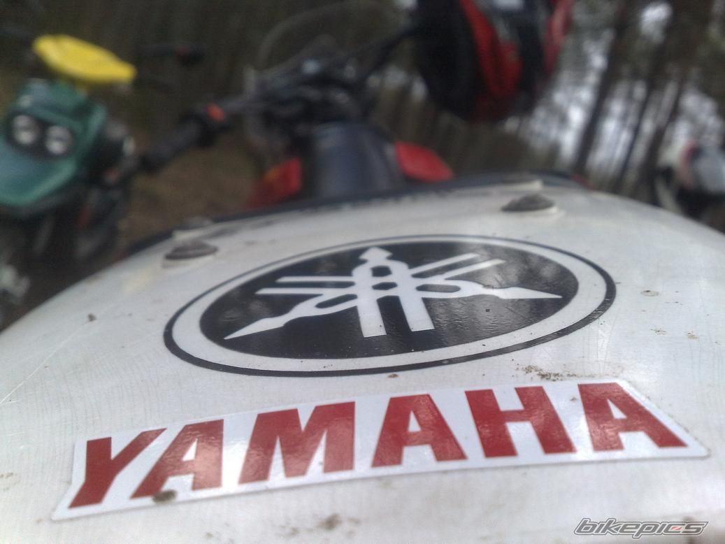2000 YAMAHA DT 50 | Picture 1944935 motorcycle photo