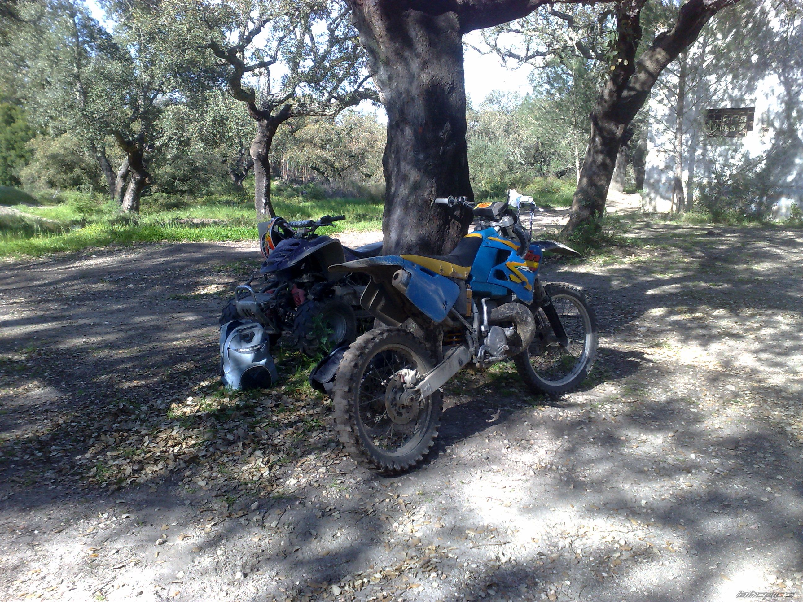 1998 TM TM250 2T CROSS | Picture 1945097 motorcycle photo