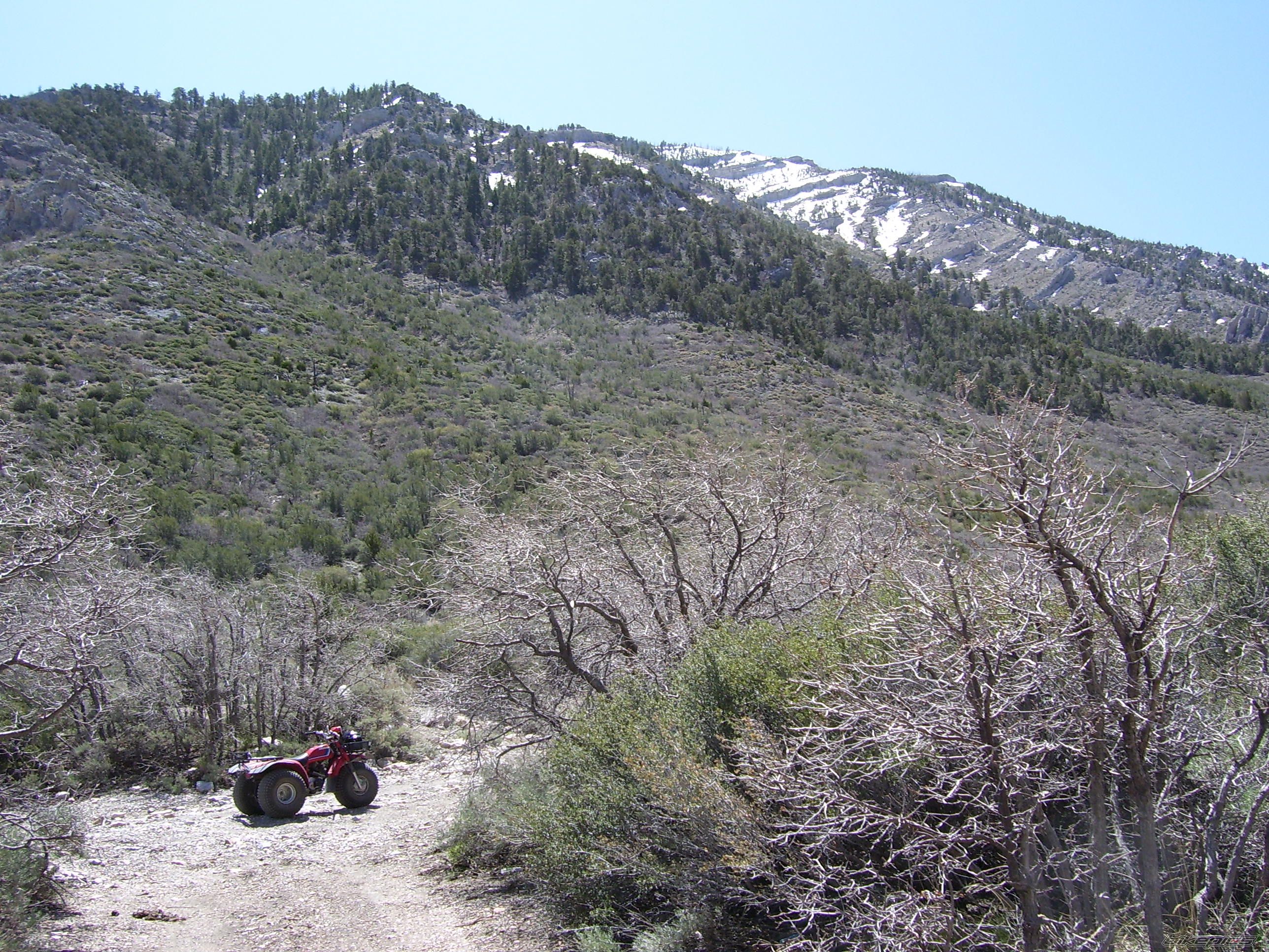 1983 HONDA ATC 200 | Picture 1945375 motorcycle photo