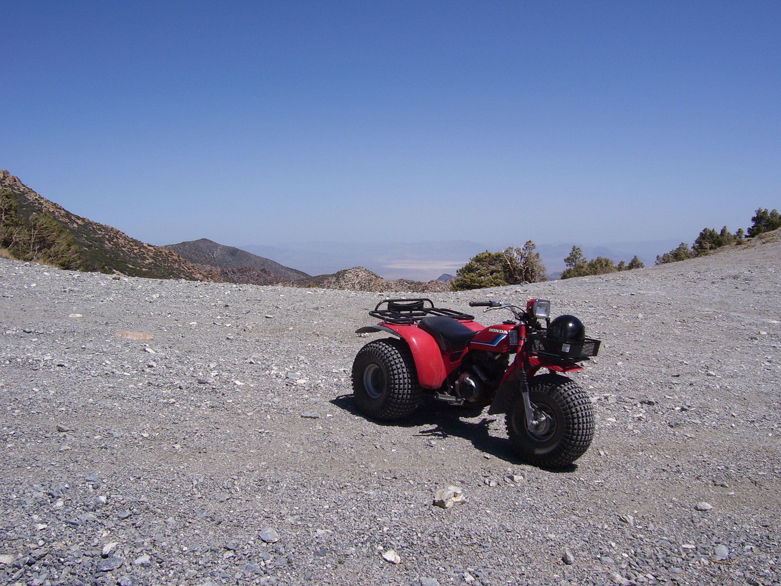 1983 HONDA ATC 200 | Picture 1945377 motorcycle photo