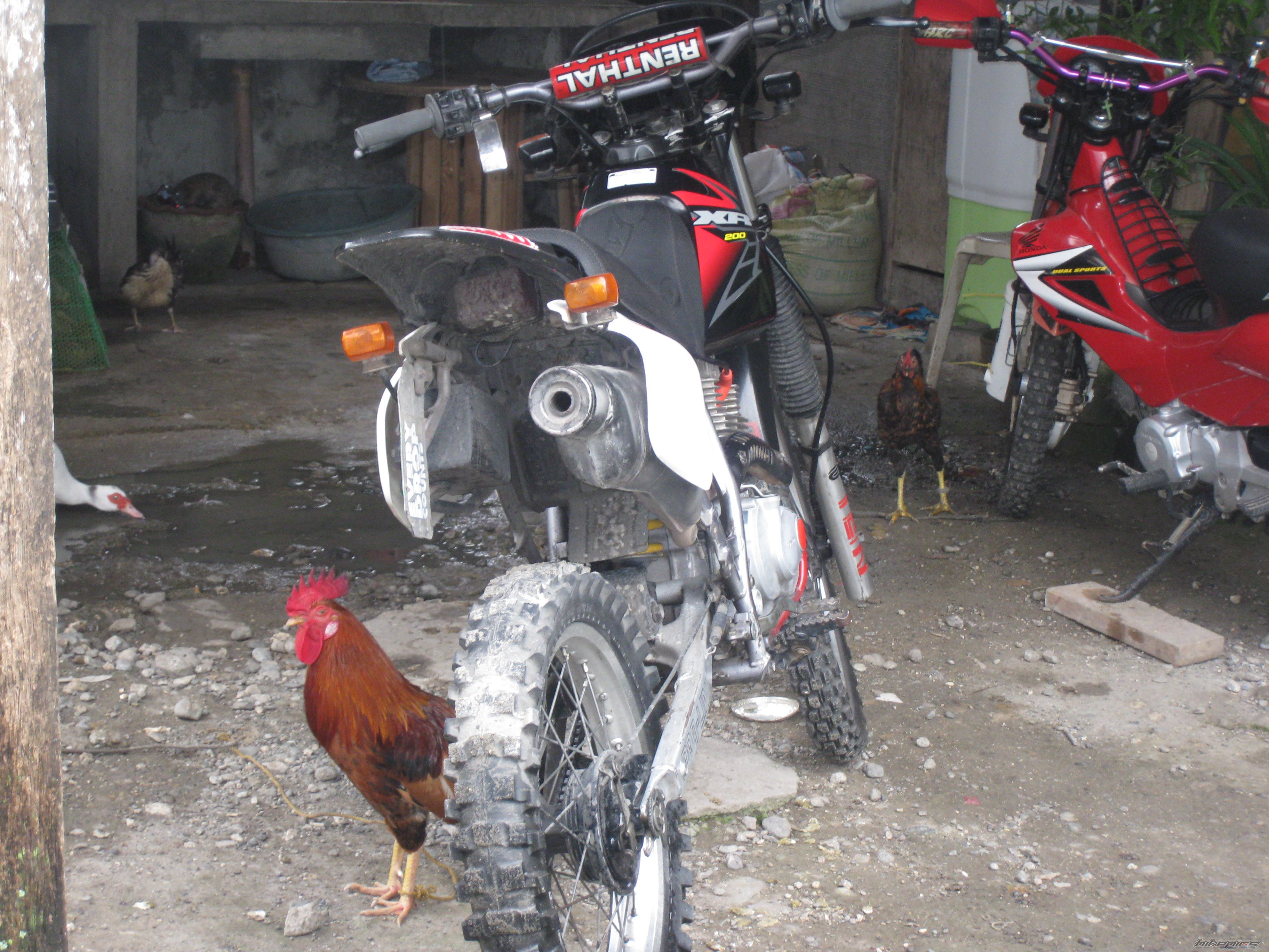 2010 HONDA XR 200 | Picture 1945765 motorcycle photo