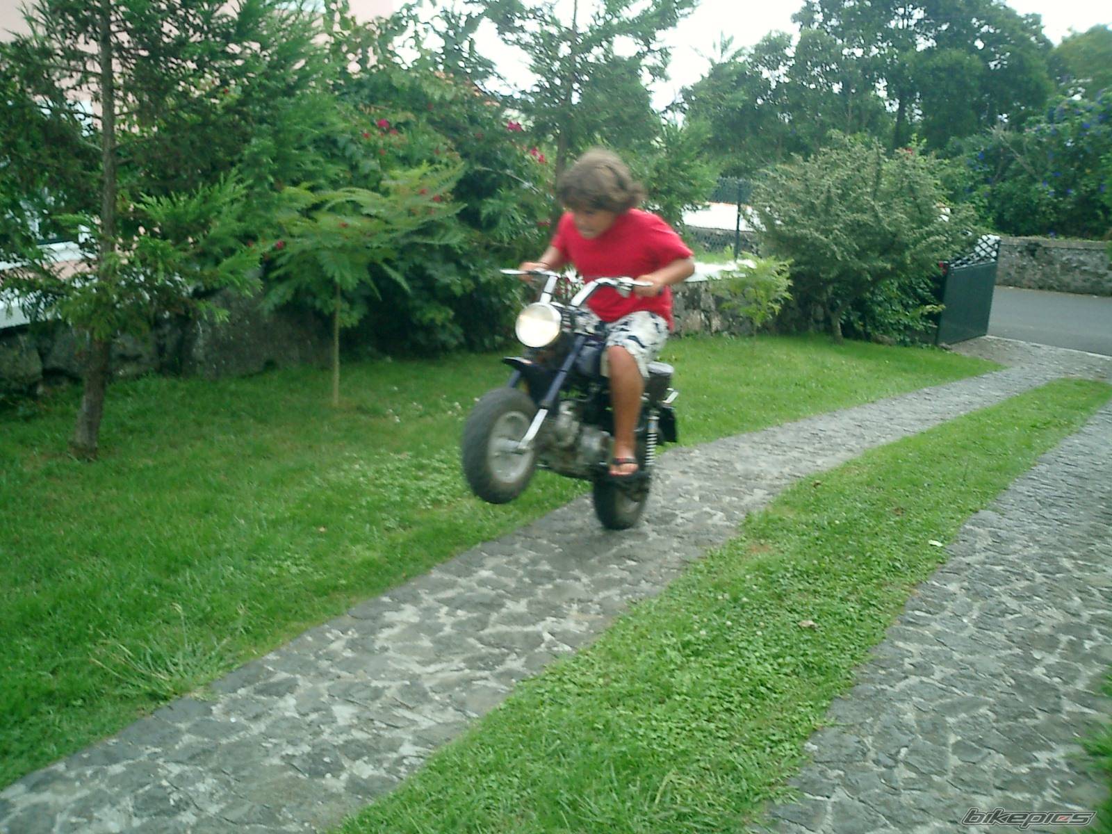 2004 HONDA Z 50 | Picture 194590 motorcycle photo