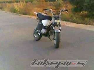 2009 YAMAHA CHAPY | Picture 1947092 motorcycle photo