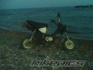 2009 YAMAHA CHAPY | Picture 1947093 motorcycle photo