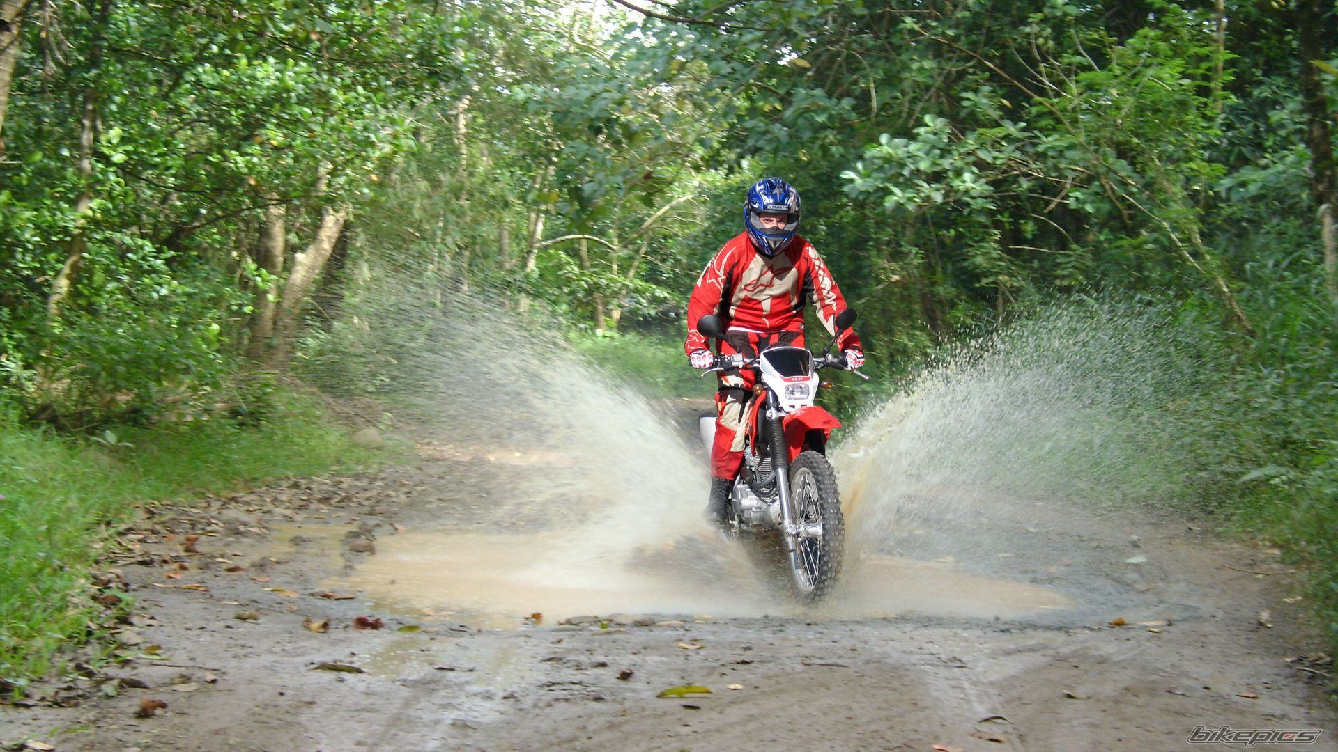 2010 HONDA CRF 230 | Picture 1947315 motorcycle photo